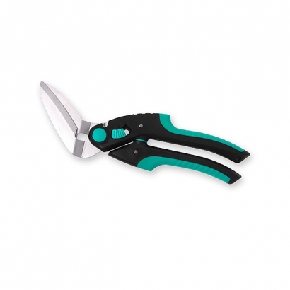 1709161501360.jpg 1709161501360.jpg